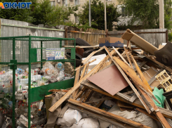 Ликвидация свалки нанесла ущерб в 87 млн волгоградскому бюджету