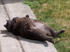 К выходным Волгоград разогреется до +18 ºС ﻿