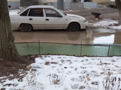 Волгоградский двор превратился в фекальную Венецию