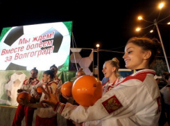 Волгоград отчитался о подготовке к ЧМ по футболу перед представителями FIFA