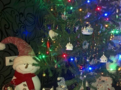 Новый год волгоградцы встретят туманом и дождем со снегом