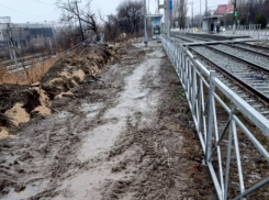 Программу борьбы с городской грязью потребовал запустить волгоградец