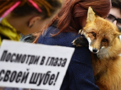 Акция против убийства ради пафоса прошла в центре Волгограда