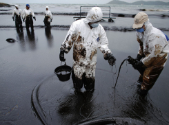 Полицейские ищут виновного в разливе нефти в Волге под Волгоградом 