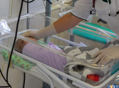 У 15 новорожденных выявили коронавирус COVID-19 в Волгоградской области