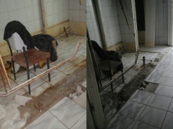 Пациенты поликлиники в Городище ждут очереди к врачу в туалете 