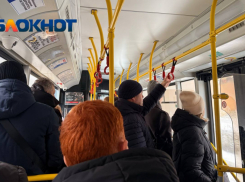 Волгоградца убили из-за конфликта в автобусе 