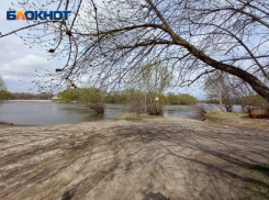 Поиски 17-летней девушки в Урюпинске прекратили до окончания паводка