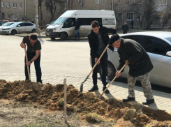 Жители жилого комплекса в Волгограде не стали дожидаться действий УК и облагородили двор сами