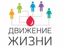 Волгоград поделится со всей Россией опытом донорства 