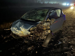 Умер 22-летний парень после массового ДТП под Волгоградом