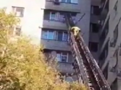 Спасение трехлетнего ребёнка из окна 8 этажа в Волгограде сотрудниками МЧС попало на видео