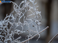 Заморозки до -3 объявили в Волгоградской области