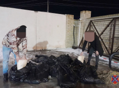 Дерзких похитителей 300 кг сыра поймали под Волгоградом 