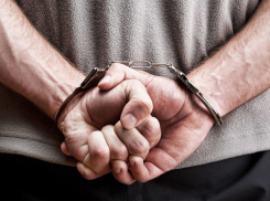 Семерых дарителей гроба губернатору Андрею Бочарову задержали в Волгограде 