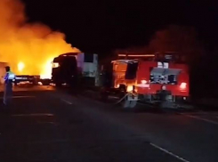 Горело все вокруг: водитель погиб в столкновении двух фур под Волгоградом