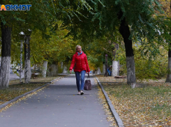 Тепло, но небольшой дождь: синоптики о погоде в Волгоградской области