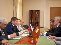 МИД России поддержит гуманитарные проекты Волгоградской области