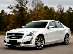 Поездка в закусочную за добавкой лишила волгоградца Cadillac