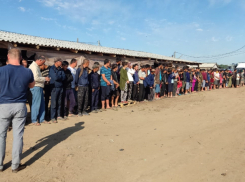 В Волгоградской области в результате масштабного рейда задержали около 50 нелегалов