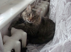 35 больниц и школ Волгограда получили отопление