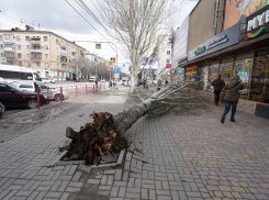 В Волгоградской области объявили штормовое предупреждение