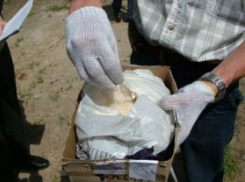 В Волгоградской области за 10 дней изъято более 10 кг наркотиков