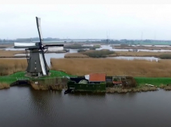 Ветряные мельницы, паразиты, зоопатрули и метеостанции: на что волгоградским организациям дали миллионы путинских грантов