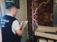 Двухлетнюю девочку насмерть придавил комод под Волгоградом 