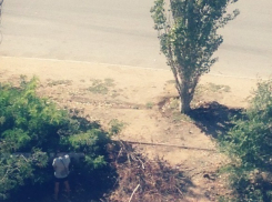 Волжане жалуются на справляющих возле дома нужду маршрутчиков