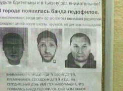 Волгоградцев предупредили о банде педофилов
