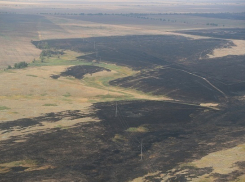 Сильный ветер перебрасывал огонь с одного берега Дона на другой: такого Волгоградская область не видела 30 лет