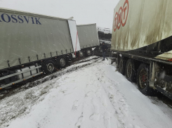 Подробности массового ДТП на трассе в Волгоградской области: пострадали 12 машин и 4 человека