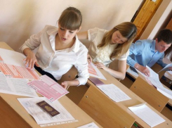 В Волгоградской области 18 школьников набрали 100 баллов по ЕГЭ по русскому языку