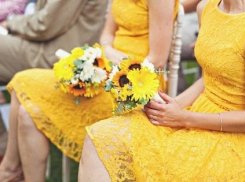 На «горчичной свадьбе» в Волгограде жениха выберут в процессе