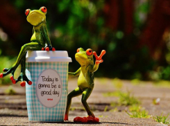 Раков и Дев ждет успех в деньгах – Козерогов неожиданные события: прогноз от астролога на неделю