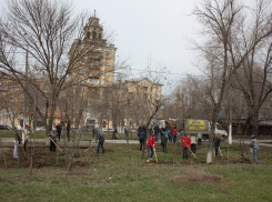 Вместо коммунальщиков уборкой мусора и высадкой деревьев в Волгограде занимаются горожане