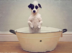 Сутки просидят без воды жители двух районов Волгограда