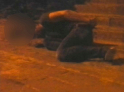 Неадекватного молодого мужчину сняли на видео волгоградцы