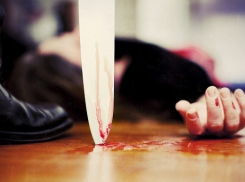 Мужчина зарезал бывшего сослуживца под Волгоградом за оскорбления из-за отсутствия одного глаза