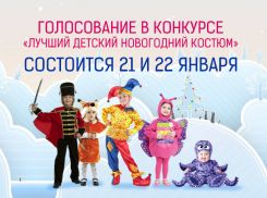 Стартует голосование в конкурсе «Лучший детский новогодний костюм-2017»