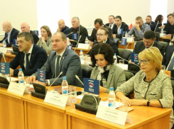 Отставки управделами ждут депутаты Волгоградской гордумы