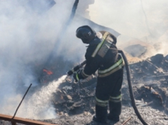 Обугленное тело обнаружено на пепелище в Волгограде
