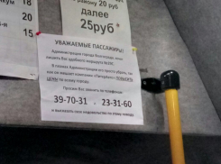 Маршрутки мешают повысить цены на автобусы: волгоградцев просят высказать недовольство