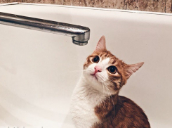 В Волгограде после 9 Мая отключат горячую воду: список адресов