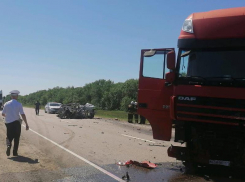 Жизнь 3-летней девочки спасают врачи после ДТП с фурой под Волгоградом