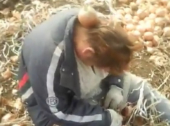 Отморозки сняли на видео глумление над пьяной женщиной на полях под Волгоградом