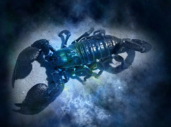 Гороскоп на январь: для Раков и Рыб будут судьбоносными три дня