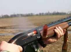 Фермер из ружья расстрелял животных под Волгоградом