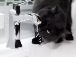 В Кировском районе Волгограда на сутки отключат воду